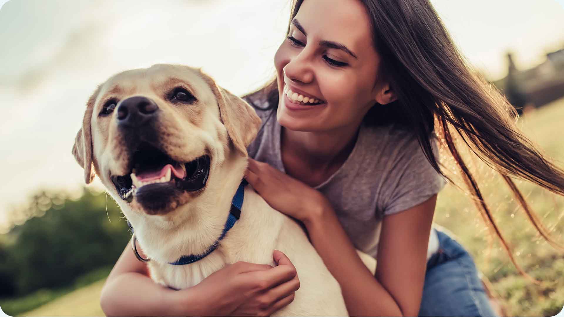 Moment de partage entre un chien et sa maitresse