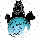 zoé moussoux profile picture