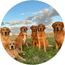 Virginie Barthelemy profile picture